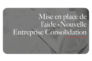 aide nouvelle entreprise consolidation