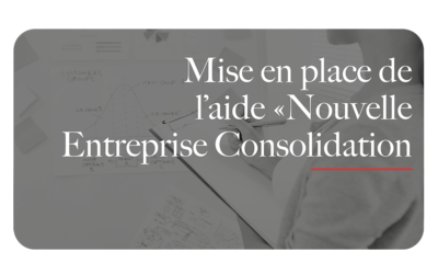 aide nouvelle entreprise consolidation