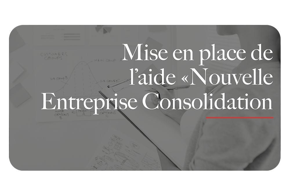 aide nouvelle entreprise consolidation