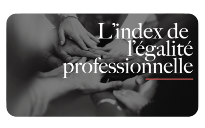 déclaration index égalité pro