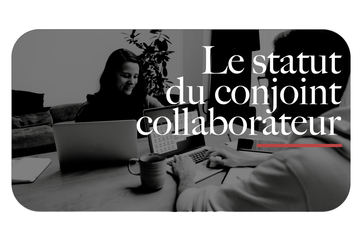 Les différents statuts pour le conjoint collaborateur Pole Sud Expertise comptable en Occitanie