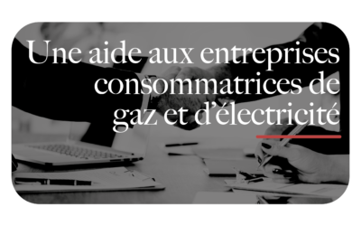 Une aide aux entreprises consommatrices de gaz et d'électricité